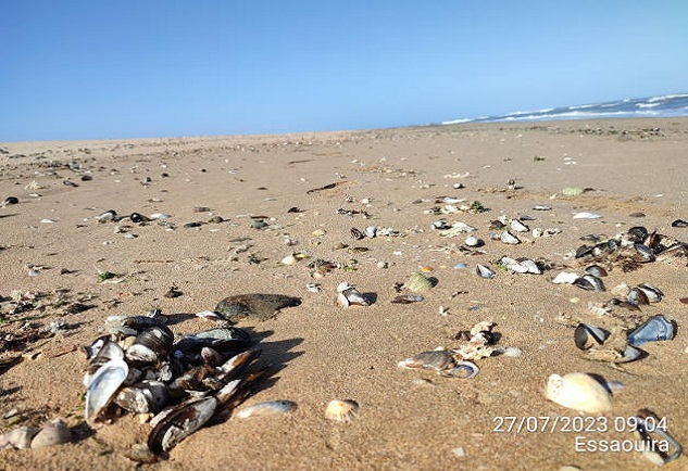 Tazgha House beach access